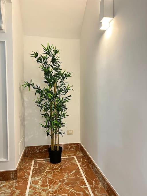 Appartamento “Al Duomo” Κατάνια Εξωτερικό φωτογραφία